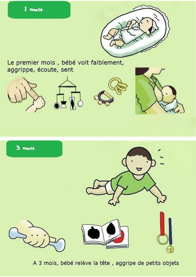 Les parasites dans les oreilles les symptômes le traitement