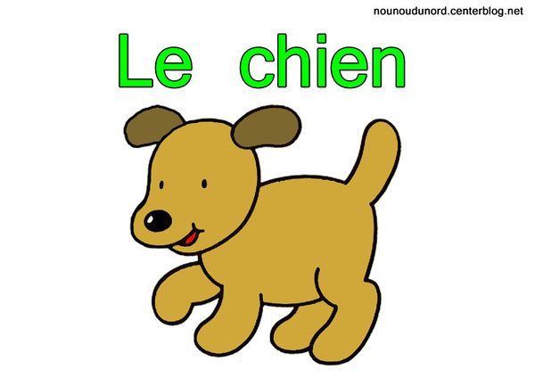 Image Le Chien