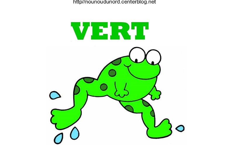 VERT-GRENOUILLE.jpg