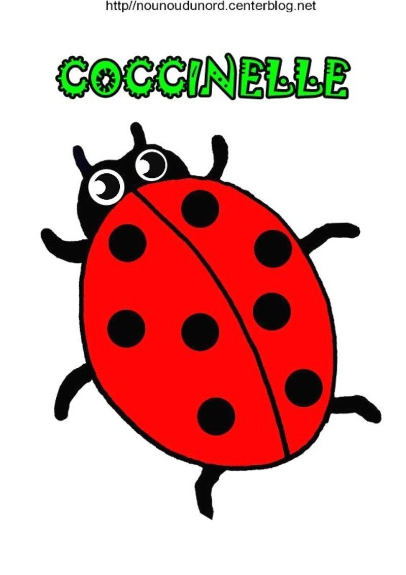 Coloriage coccinelle dessin par nounoudunord