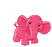 elephant-rose.gif
