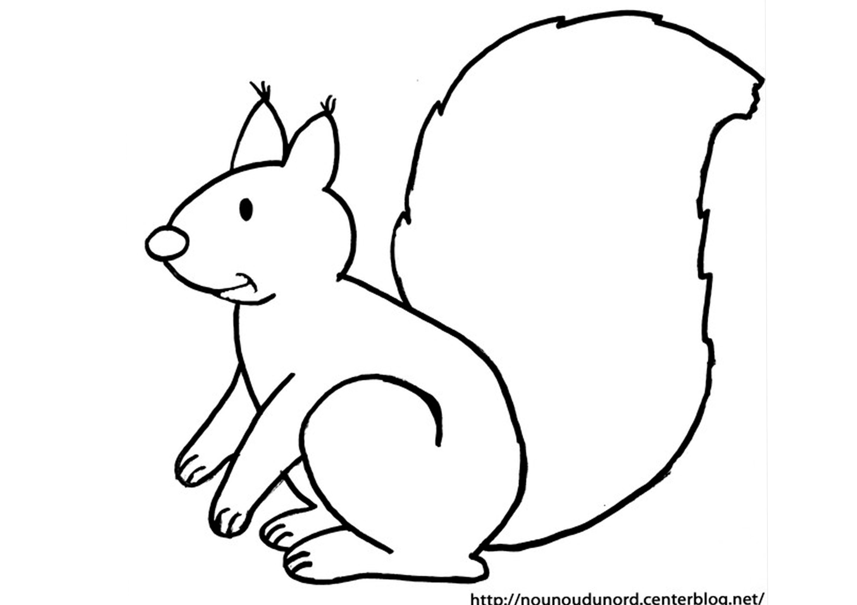 Comment dessiner ecureuil facilement