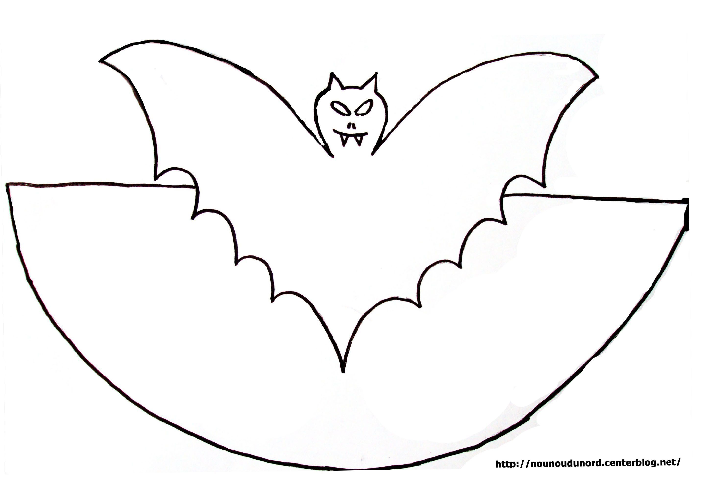 1343 coloriage du cone de la chauve souris