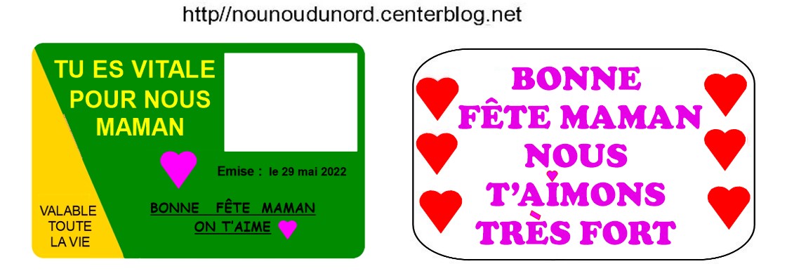 CARTE VITALE Pour La F te Des M res Mamies P res carte-vitale-pour-la-f-te-des-m-res-mamies-p-res